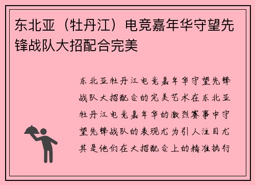 东北亚（牡丹江）电竞嘉年华守望先锋战队大招配合完美