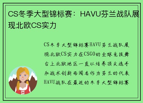 CS冬季大型锦标赛：HAVU芬兰战队展现北欧CS实力